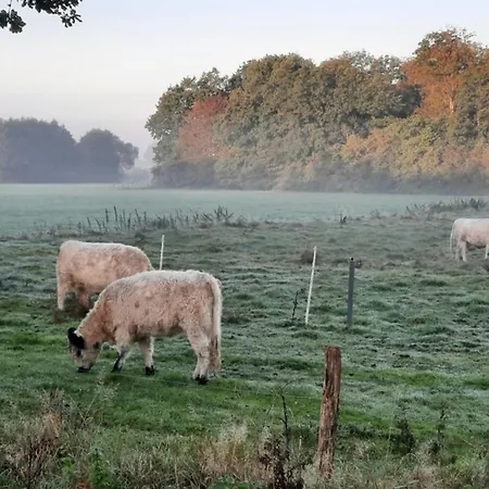 Tatil Evi 11 Premium Pod 