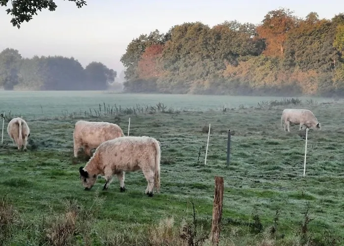 Vakantiehuis 11 Premium Pod 